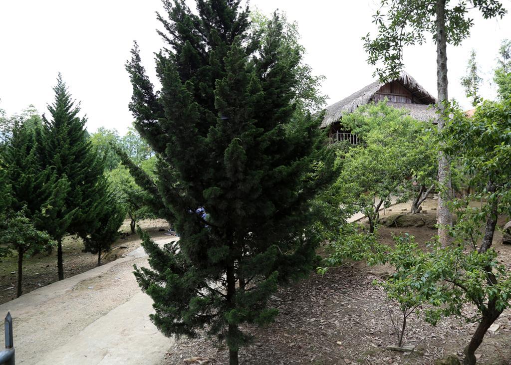 דירות Sa House Bac Ha מראה חיצוני תמונה